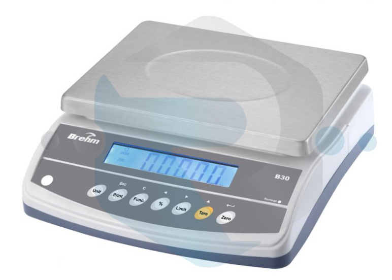 BALANCE INDUSTRIELLE B30 BREHM
